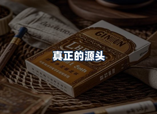 专业团队办公环境